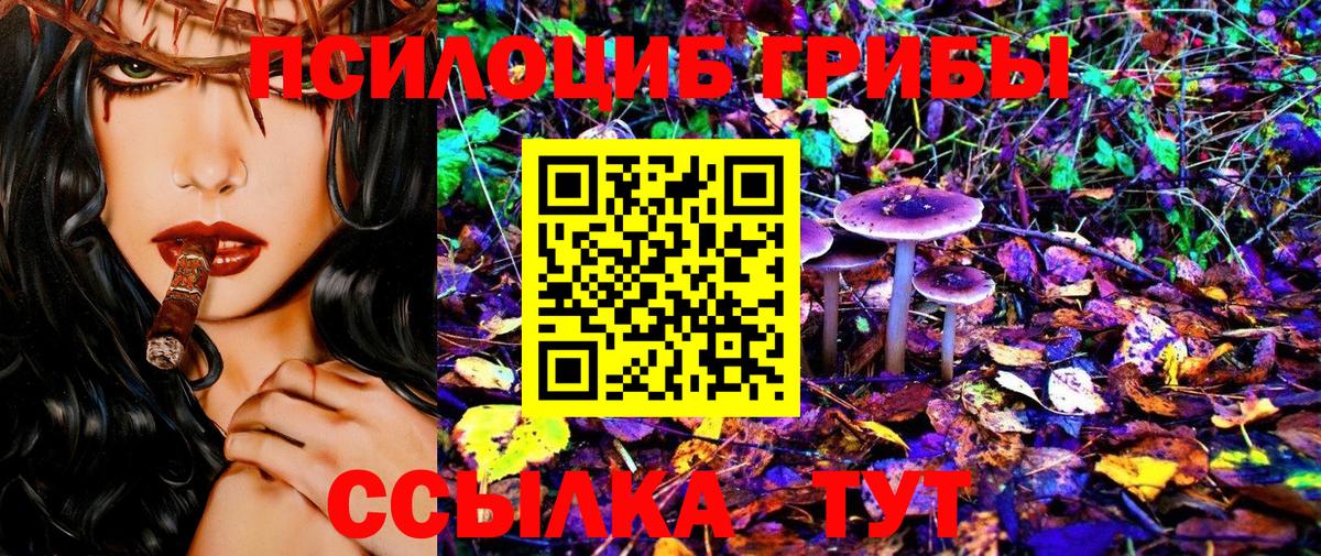 Ессентуки  Галлюциногенные грибы Cubensis  Вход с VPN 