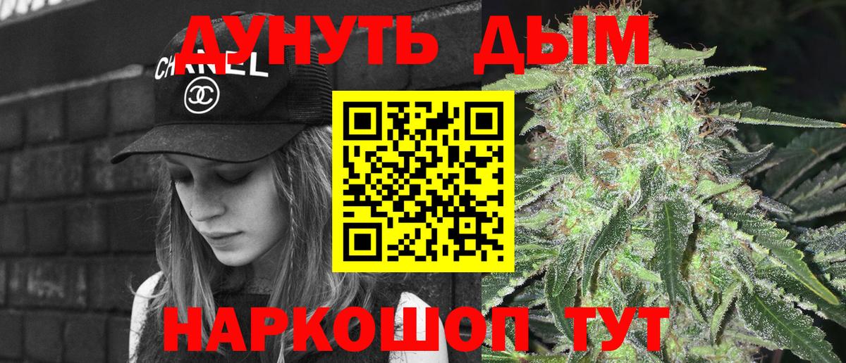 Канабис сатива Ессентуки